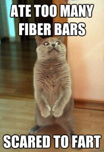 cat eats too much fibre bars